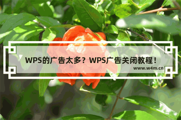 WPS的广告太多？WPS广告关闭教程！