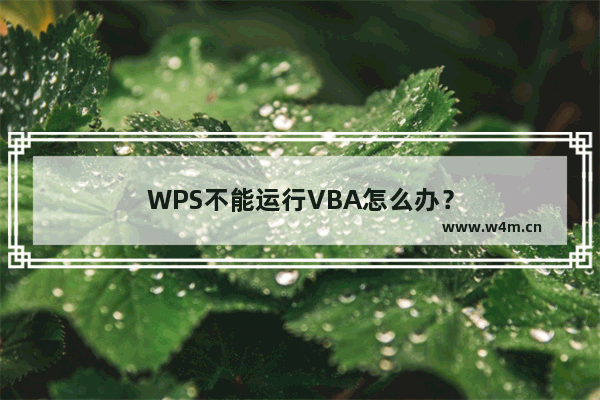 WPS不能运行VBA怎么办？