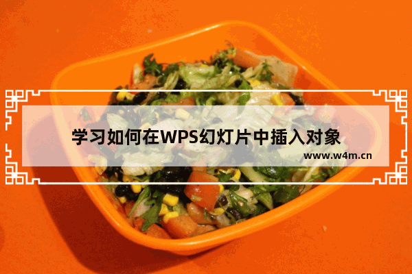 学习如何在WPS幻灯片中插入对象