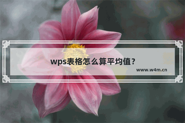 wps表格怎么算平均值？