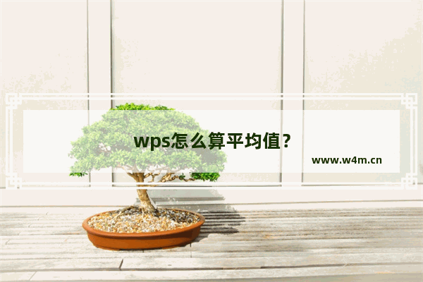 wps怎么算平均值？