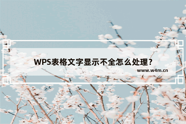 WPS表格文字显示不全怎么处理？