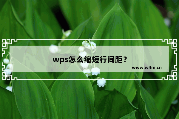 wps怎么缩短行间距？