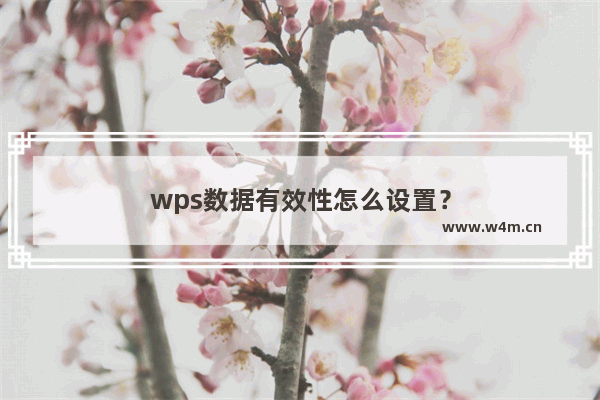 wps数据有效性怎么设置？