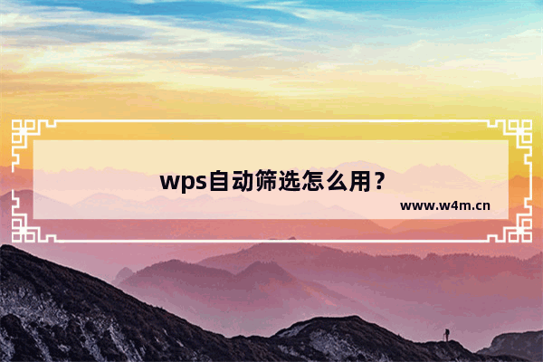 wps自动筛选怎么用？