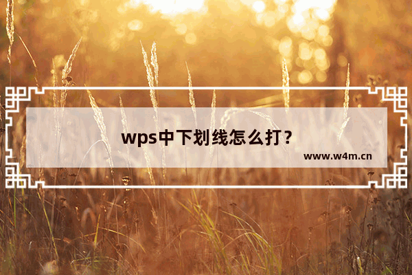 wps中下划线怎么打？