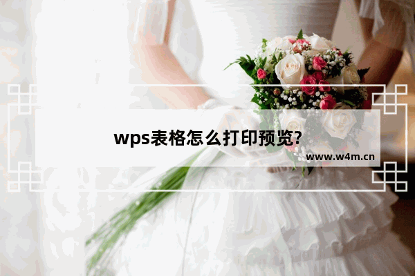 wps表格怎么打印预览?