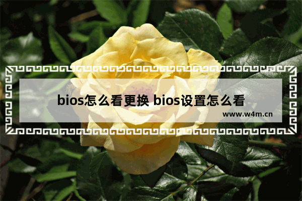 bios怎么看更换 bios设置怎么看