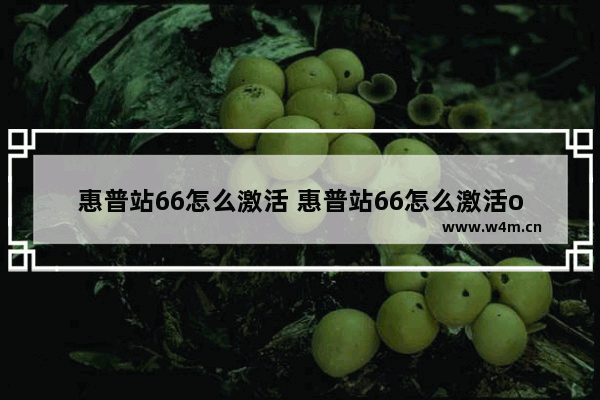 惠普站66怎么激活 惠普站66怎么激活office