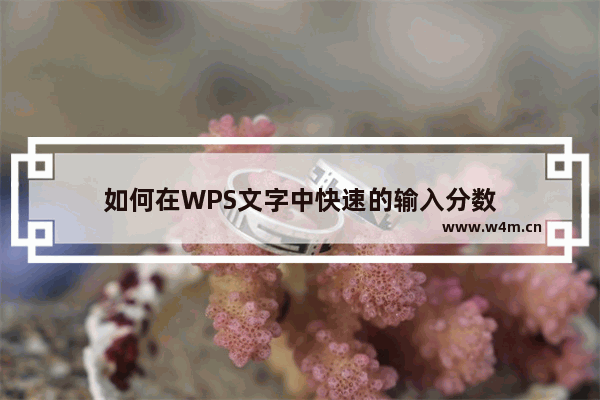 如何在WPS文字中快速的输入分数