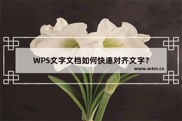 WPS文字文档如何快速对齐文字？