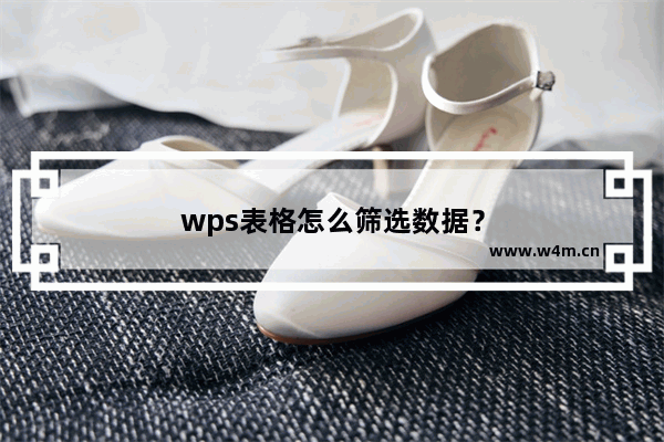 wps表格怎么筛选数据？