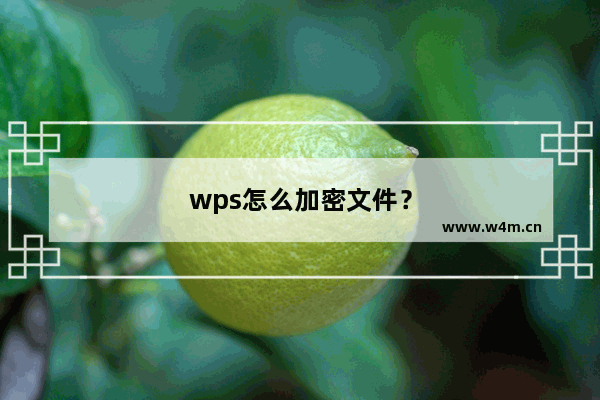 wps怎么加密文件？