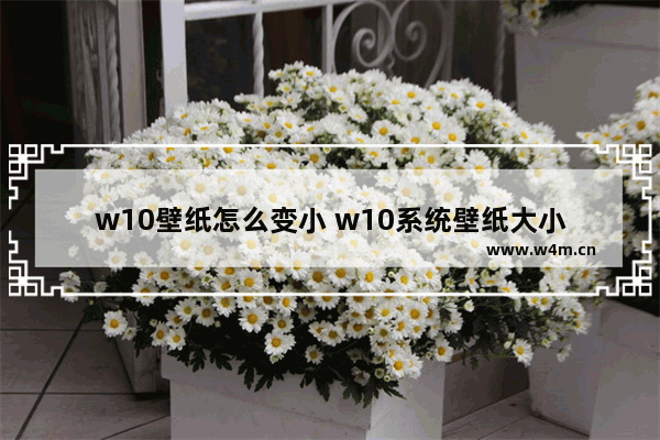 w10壁纸怎么变小 w10系统壁纸大小