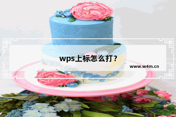 wps上标怎么打？