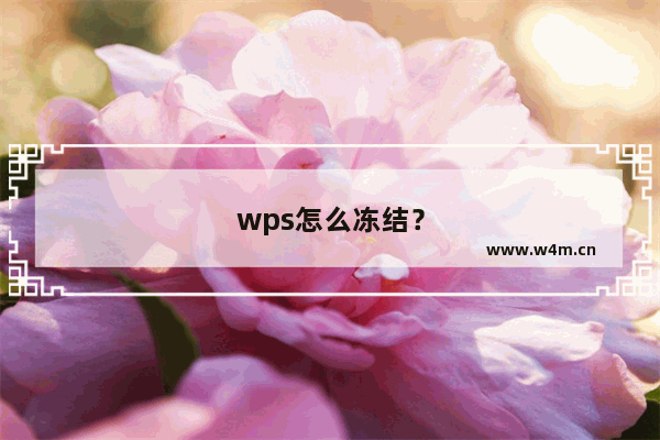 wps怎么冻结？