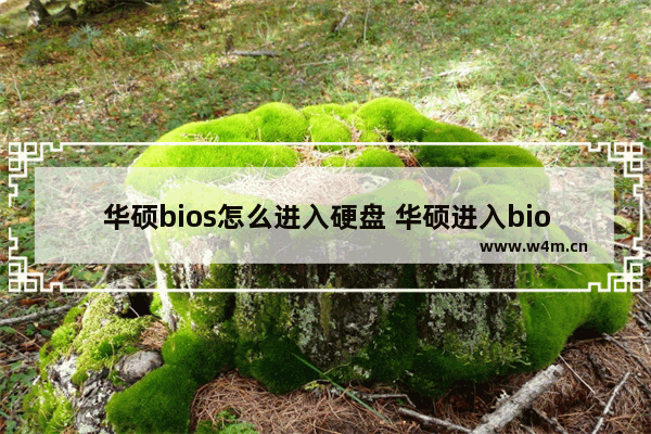 华硕bios怎么进入硬盘 华硕进入bios后怎么设置硬盘启动