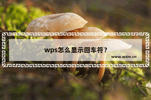 wps怎么显示回车符？