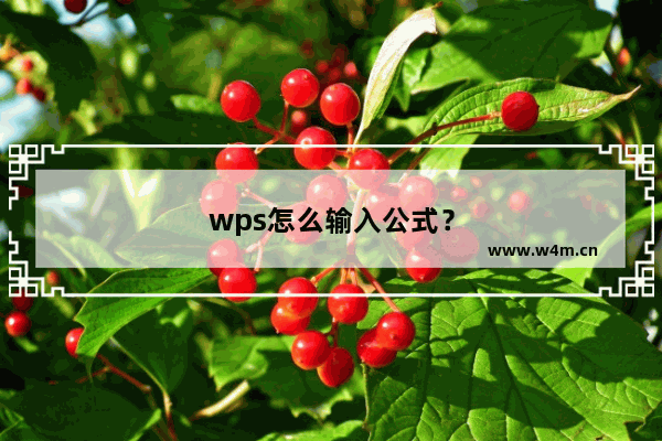 wps怎么输入公式？