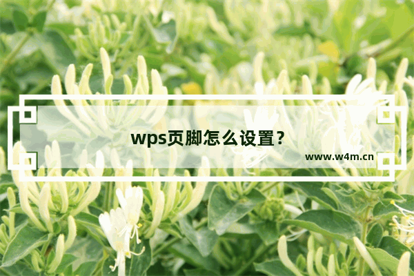 wps页脚怎么设置？