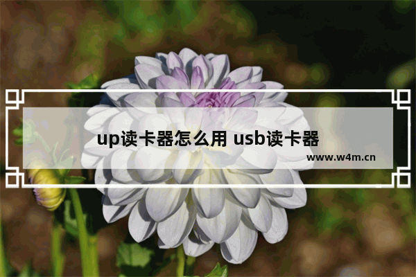 up读卡器怎么用 usb读卡器