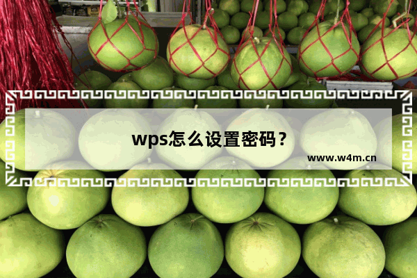 wps怎么设置密码？