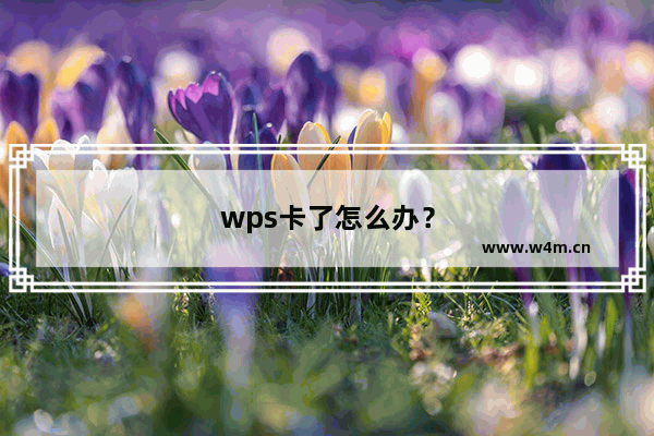 wps卡了怎么办？