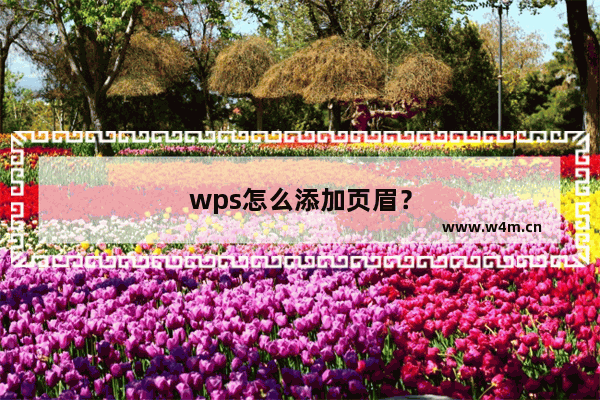 wps怎么添加页眉？