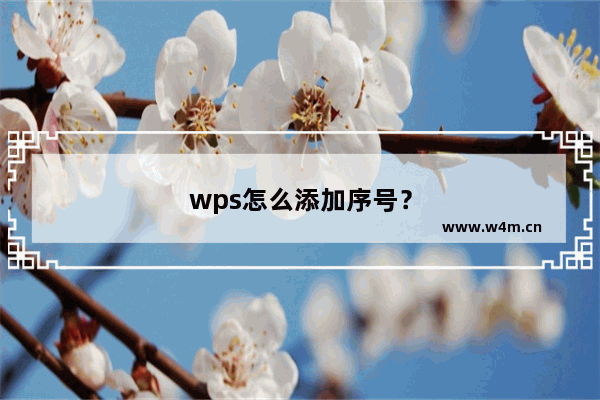 wps怎么添加序号？