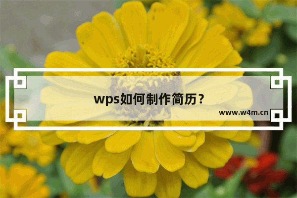 wps如何制作简历？