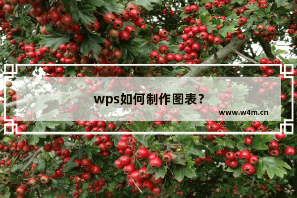 wps如何制作图表？