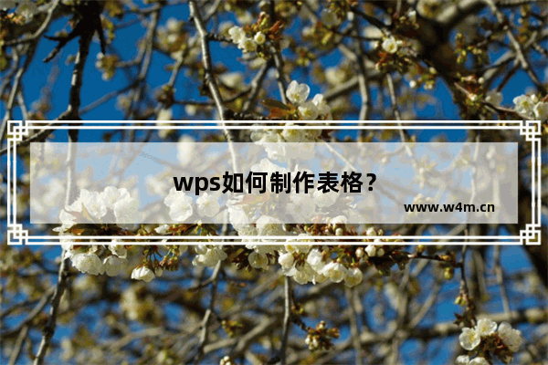 wps如何制作表格？