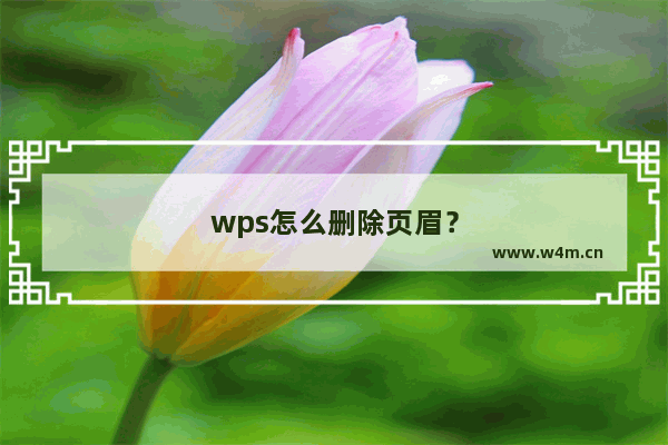 wps怎么删除页眉？