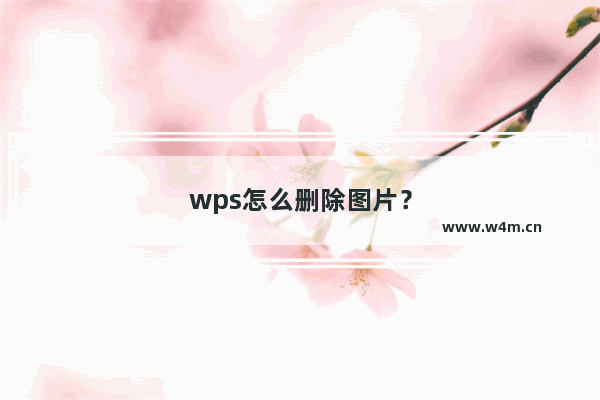 wps怎么删除图片？