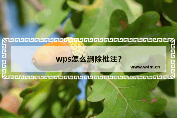 wps怎么删除批注？