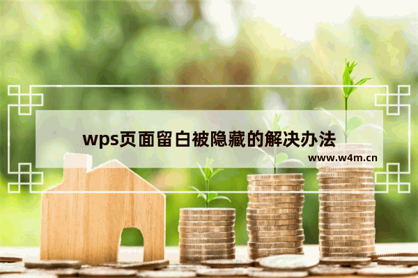 wps页面留白被隐藏的解决办法