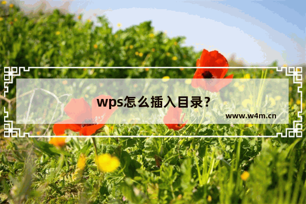 wps怎么插入目录？