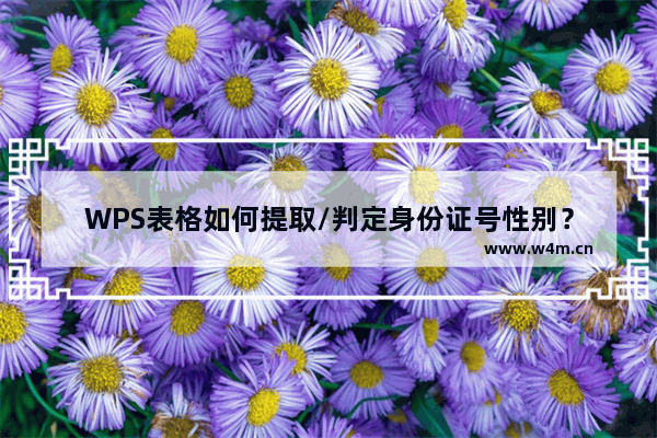 WPS表格如何提取/判定身份证号性别？