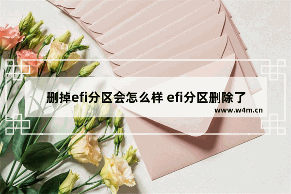 删掉efi分区会怎么样 efi分区删除了还可以重装系统吗