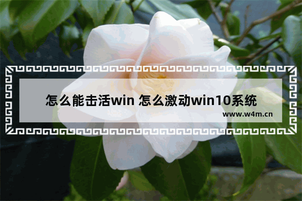 怎么能击活win 怎么激动win10系统