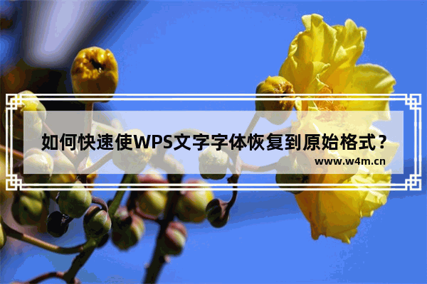 如何快速使WPS文字字体恢复到原始格式？