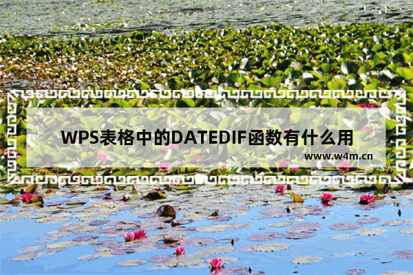 WPS表格中的DATEDIF函数有什么用？怎么用？