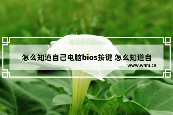 怎么知道自己电脑bios按键 怎么知道自己电脑bios按键好坏