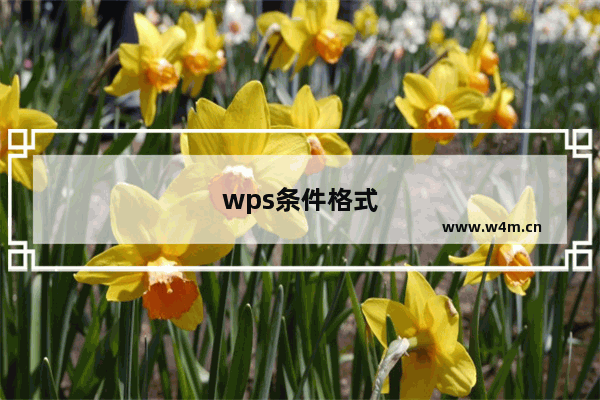 wps条件格式