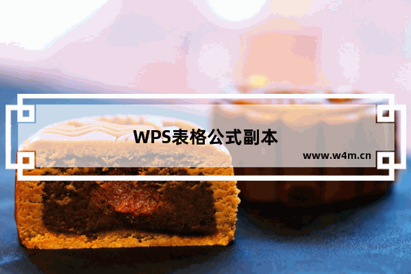 WPS表格公式副本