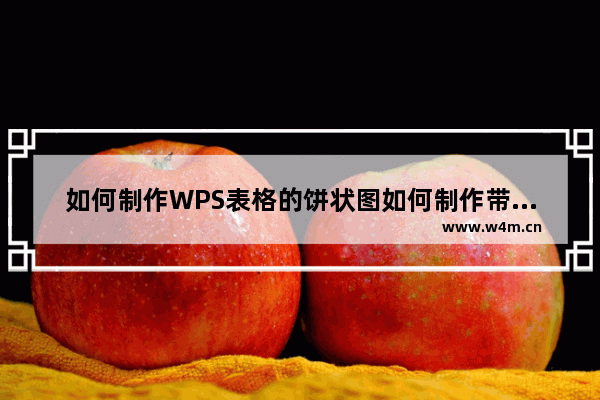 如何制作WPS表格的饼状图如何制作带有百分比示例的双饼状图