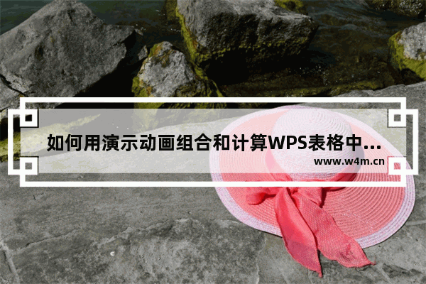 如何用演示动画组合和计算WPS表格中的多个工作表