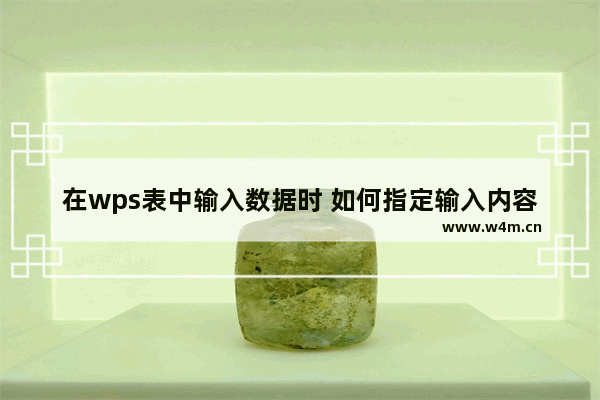 在wps表中输入数据时 如何指定输入内容和范围