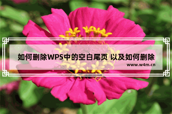 如何删除WPS中的空白尾页 以及如何删除表单后的空白页