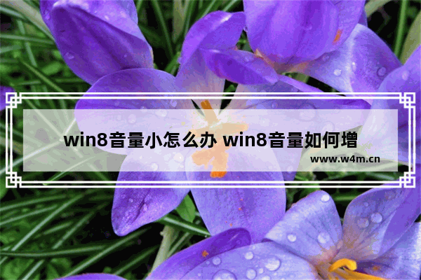 win8音量小怎么办 win8音量如何增大